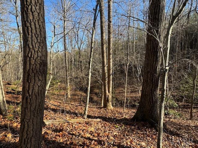 -17 Acres Spg Grv Road Spout Spring, VA 24593 - Photo 29 of 30 a backyard of a house with lots of green space