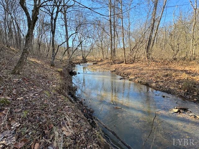 -17 Acres Spg Grv Road Spout Spring, VA 24593 - Photo 3 of 30 a view of yard with trees