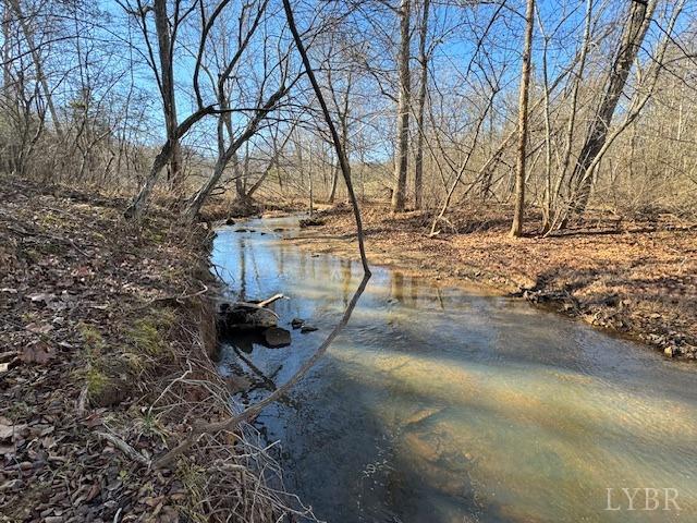 -17 Acres Spg Grv Road Spout Spring, VA 24593 - Photo 5 of 30 a backyard of a house with trees and covered with snow