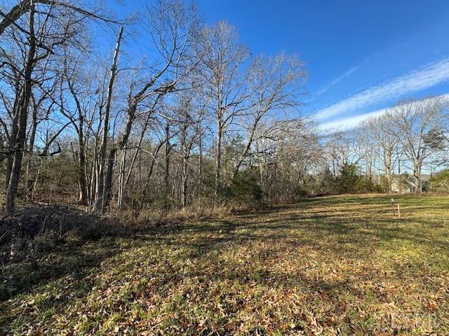-17 Acres Spg Grv Road Spout Spring, VA 24593 - Photo 7 of 30 a view of a yard with an trees