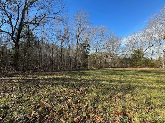 -17 Acres Spg Grv Road Spout Spring, VA 24593 - Photo 8 of 30 a view of a yard with trees