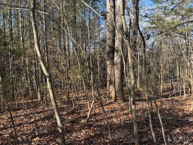 -17 Acres Spg Grv Road Spout Spring, VA 24593 - Photo 10 of 30 a view of forest