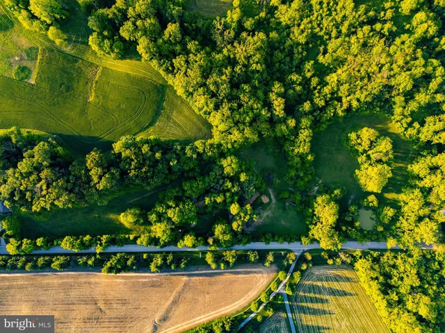a view of a yard with a tree