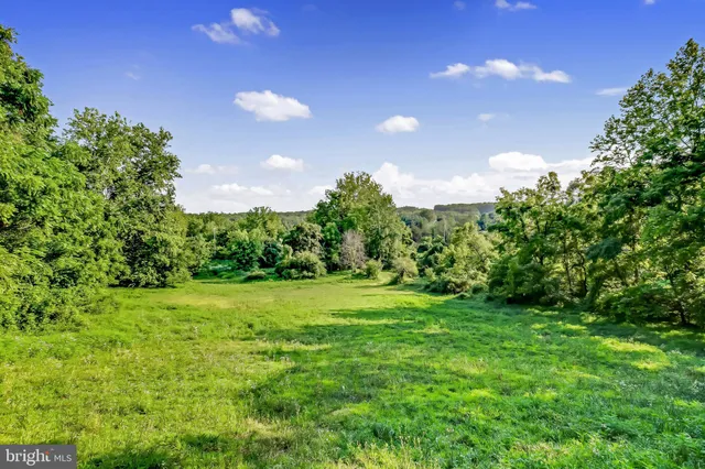 a view of a big yard with green space and trampoline