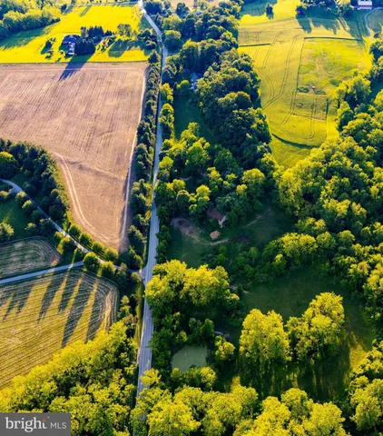 a view of banana tree