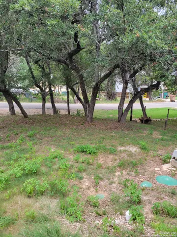 a view of a yard with a tree