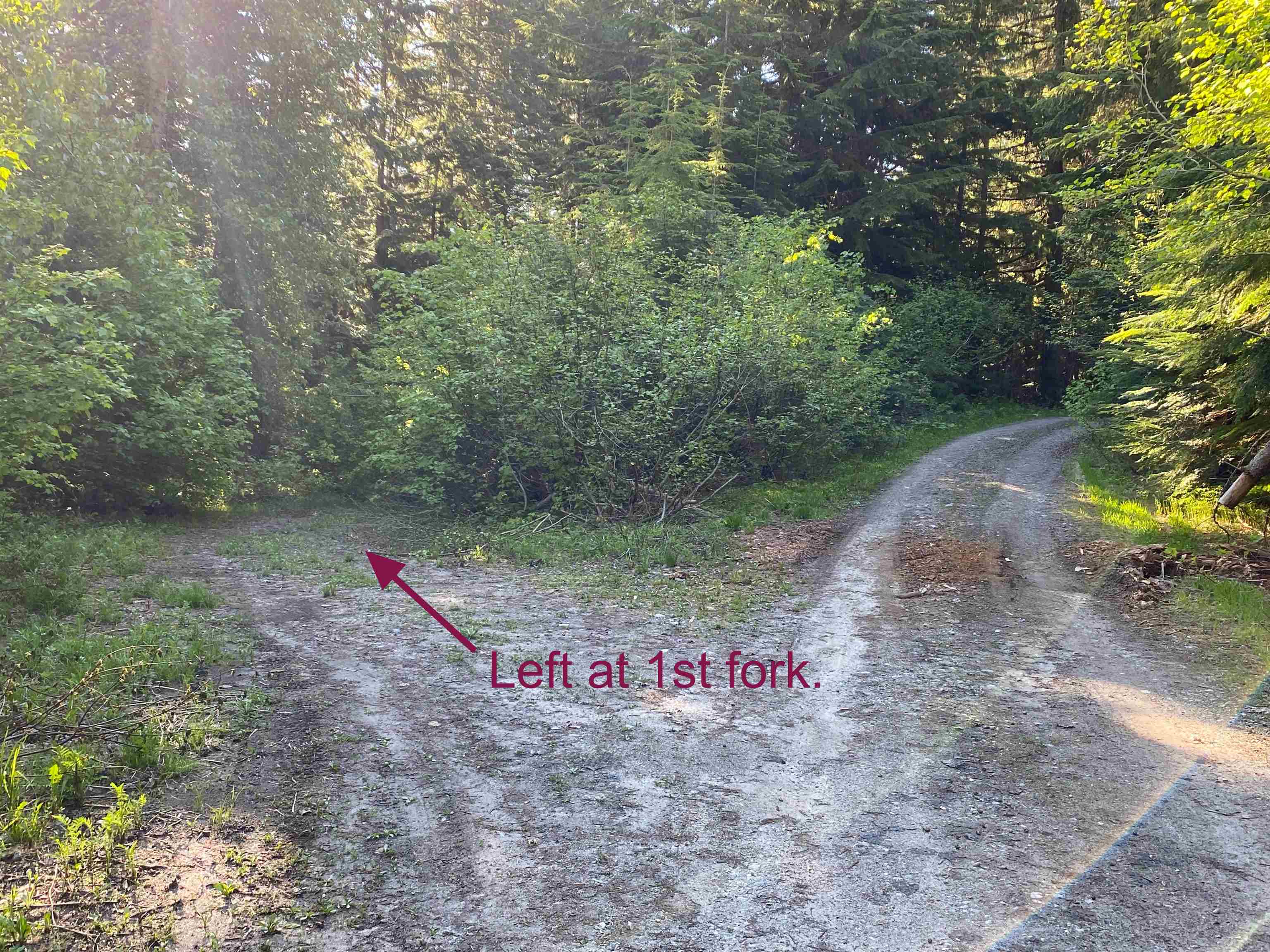 25 Blk 1 Snowblaze Rec Tracts Road Mead, WA 99021 - Photo 4 of 7 Gallery Image 4