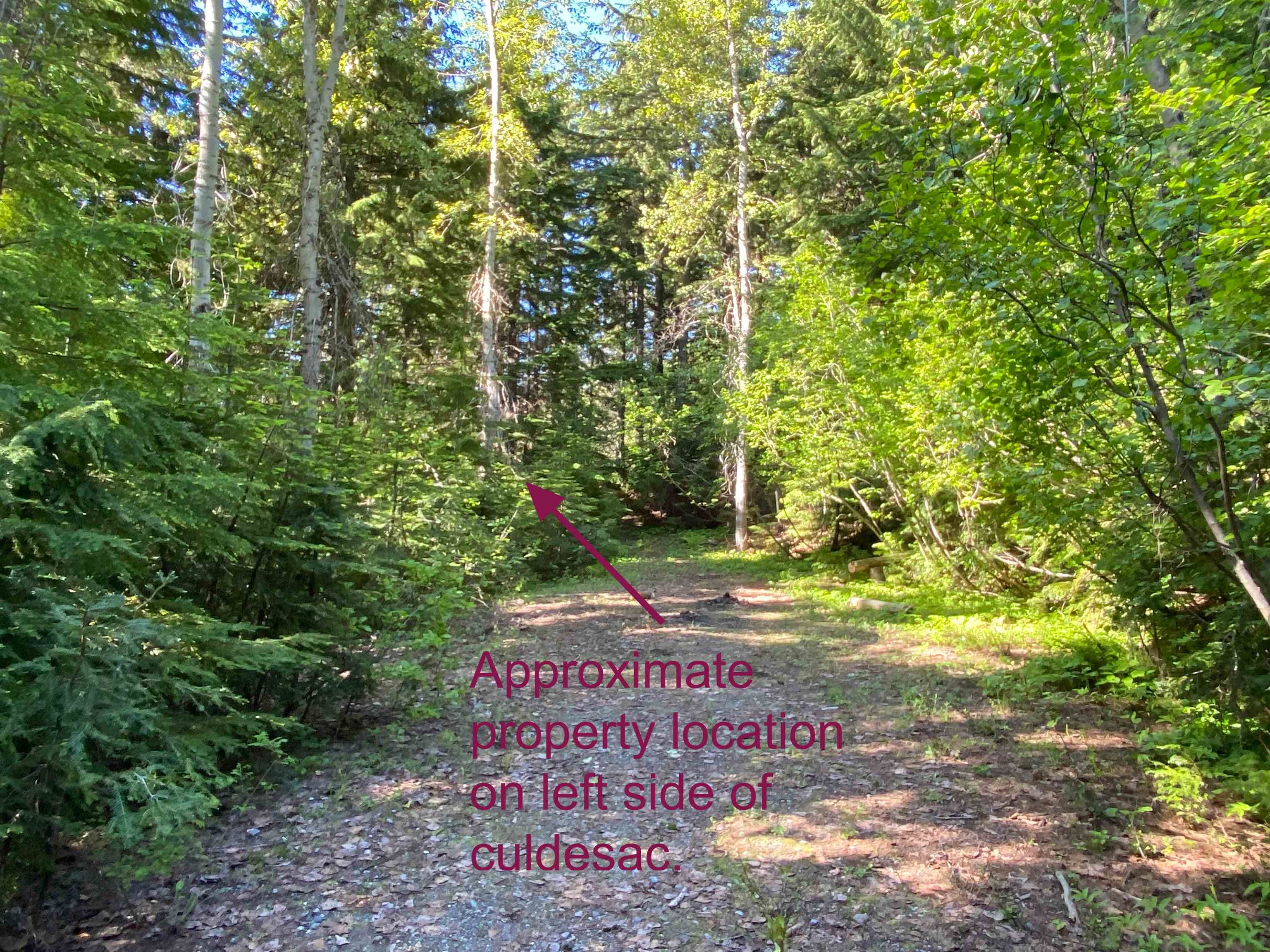 25 Blk 1 Snowblaze Rec Tracts Road Mead, WA 99021 - Photo 6 of 7 Gallery Image 6