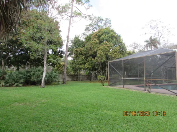 a view of a garden with a tree