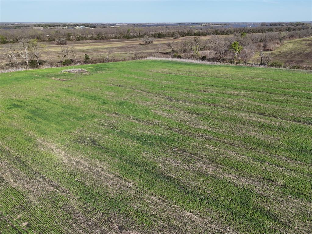 41 Fm 198 Cooper, TX 75432 - Photo 8 of 9 a view of a field with an ocean view