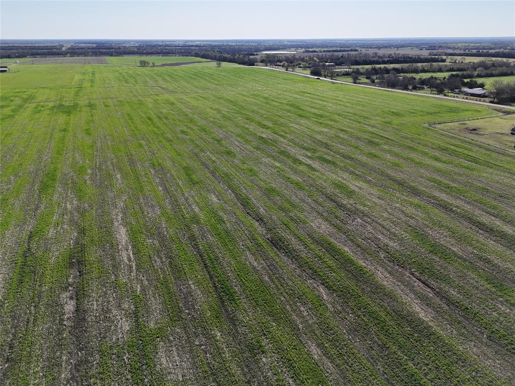 41 Fm 198 Cooper, TX 75432 - Photo 9 of 9 a view of a field with an ocean view