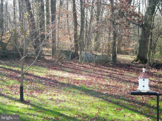 2115 Stonewall Road Catonsville, MD 21228 - Photo 6 of 19 a backyard of a house with lots of green space