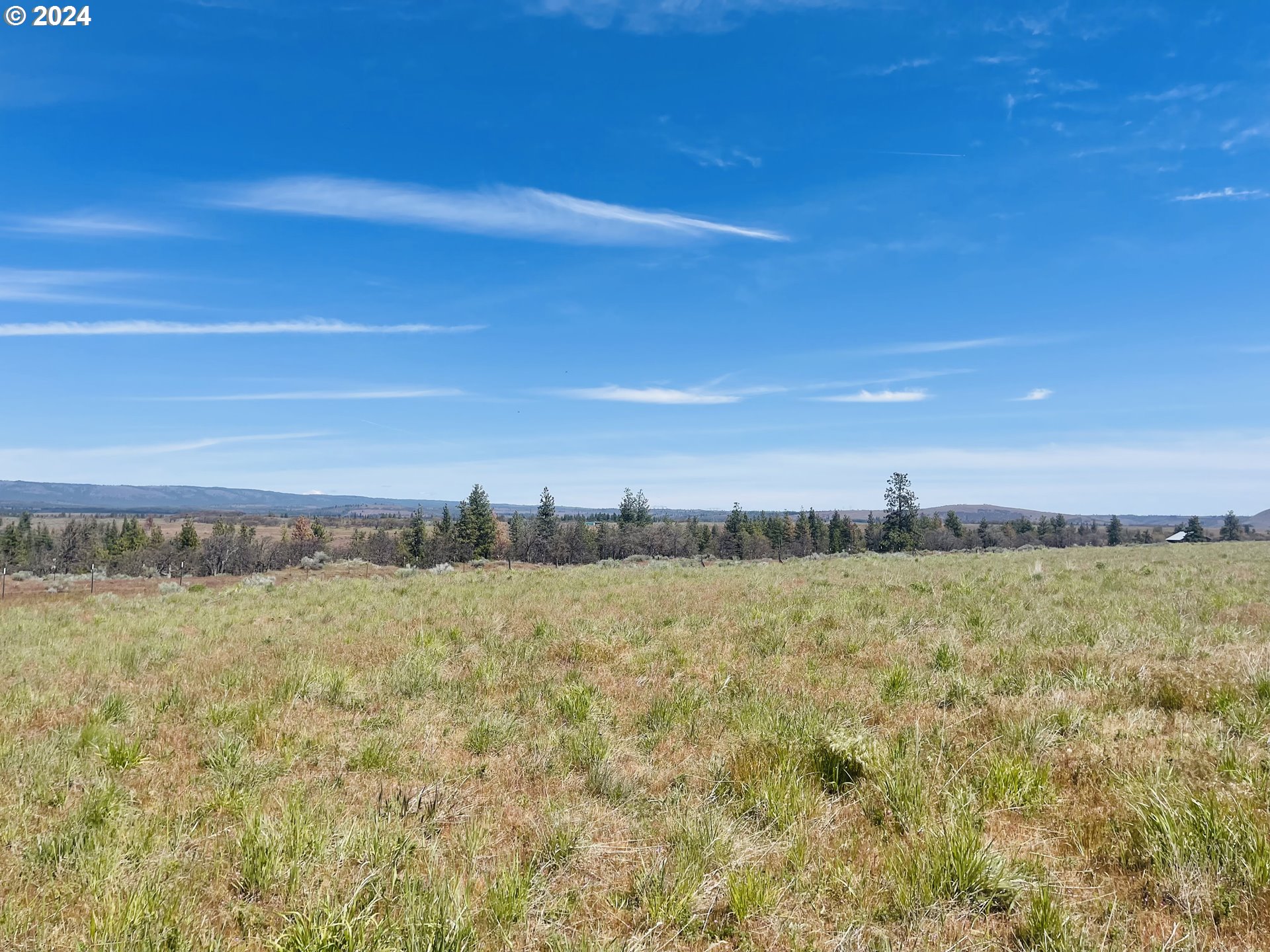 Holter Road Goldendale, WA 98620 - Photo 1 of 16 Gallery Image 1