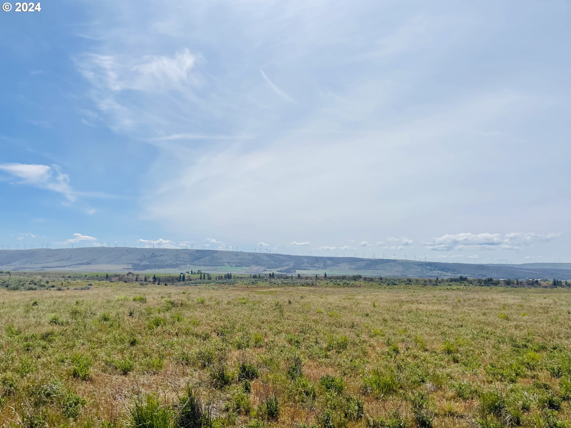 Holter Road Goldendale, WA 98620 - Photo 11 of 16 Gallery Image 11