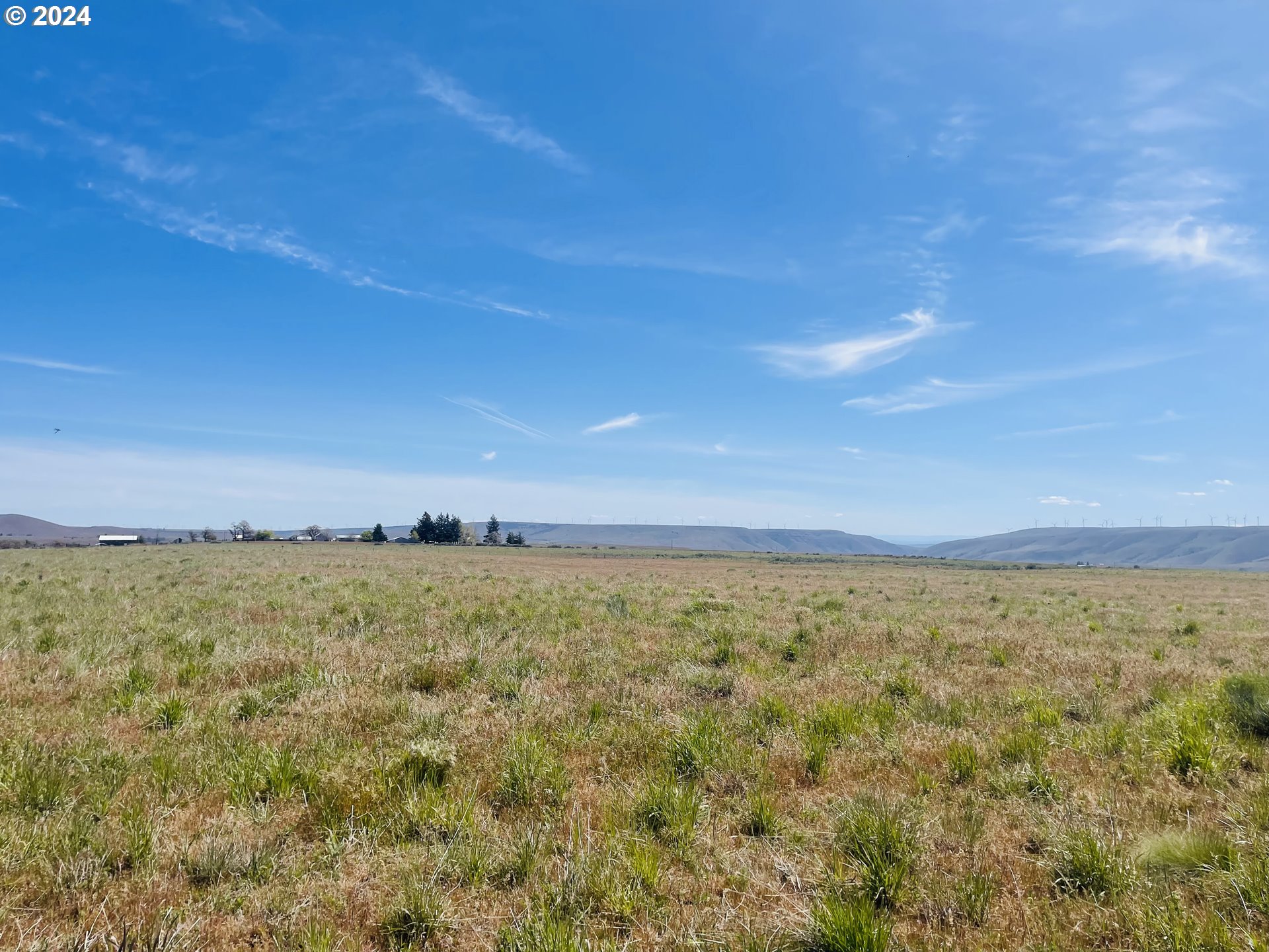 Holter Road Goldendale, WA 98620 - Photo 4 of 16 Gallery Image 4