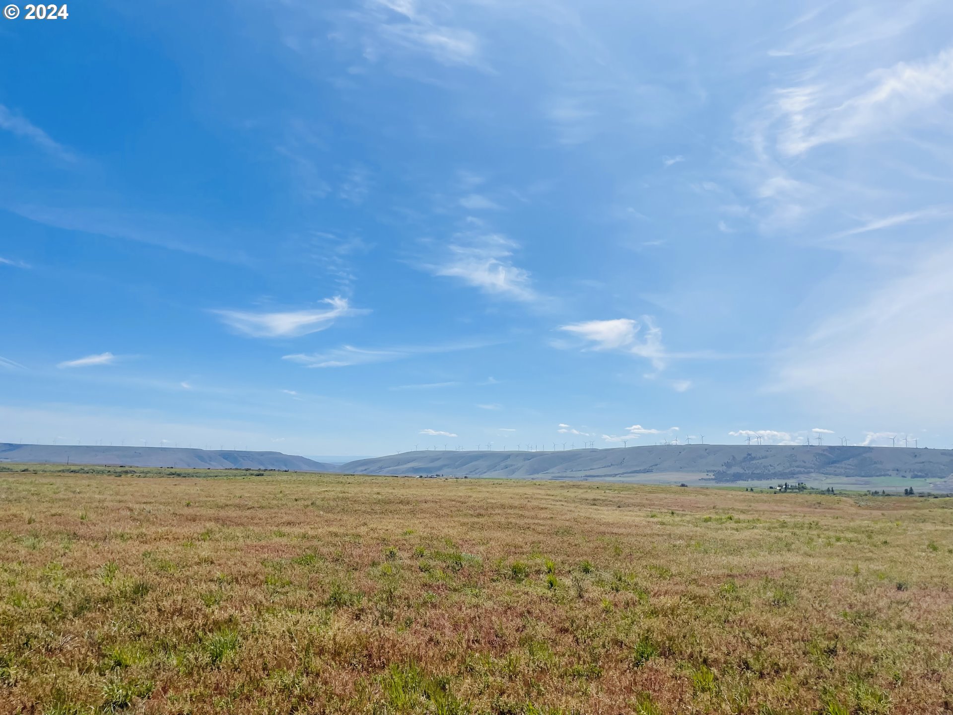 Holter Road Goldendale, WA 98620 - Photo 5 of 16 Gallery Image 5