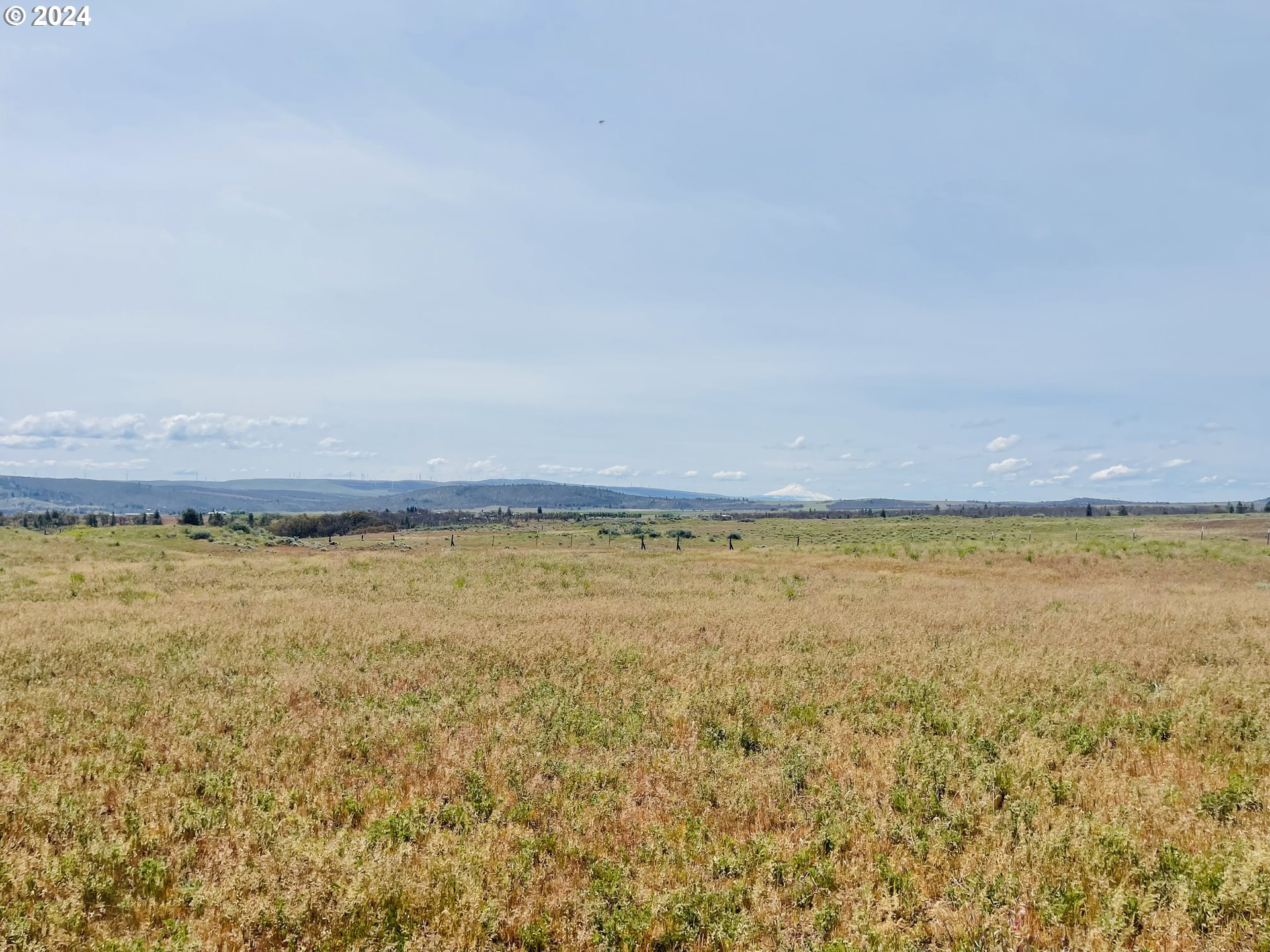 Holter Road Goldendale, WA 98620 - Photo 6 of 16 Gallery Image 6