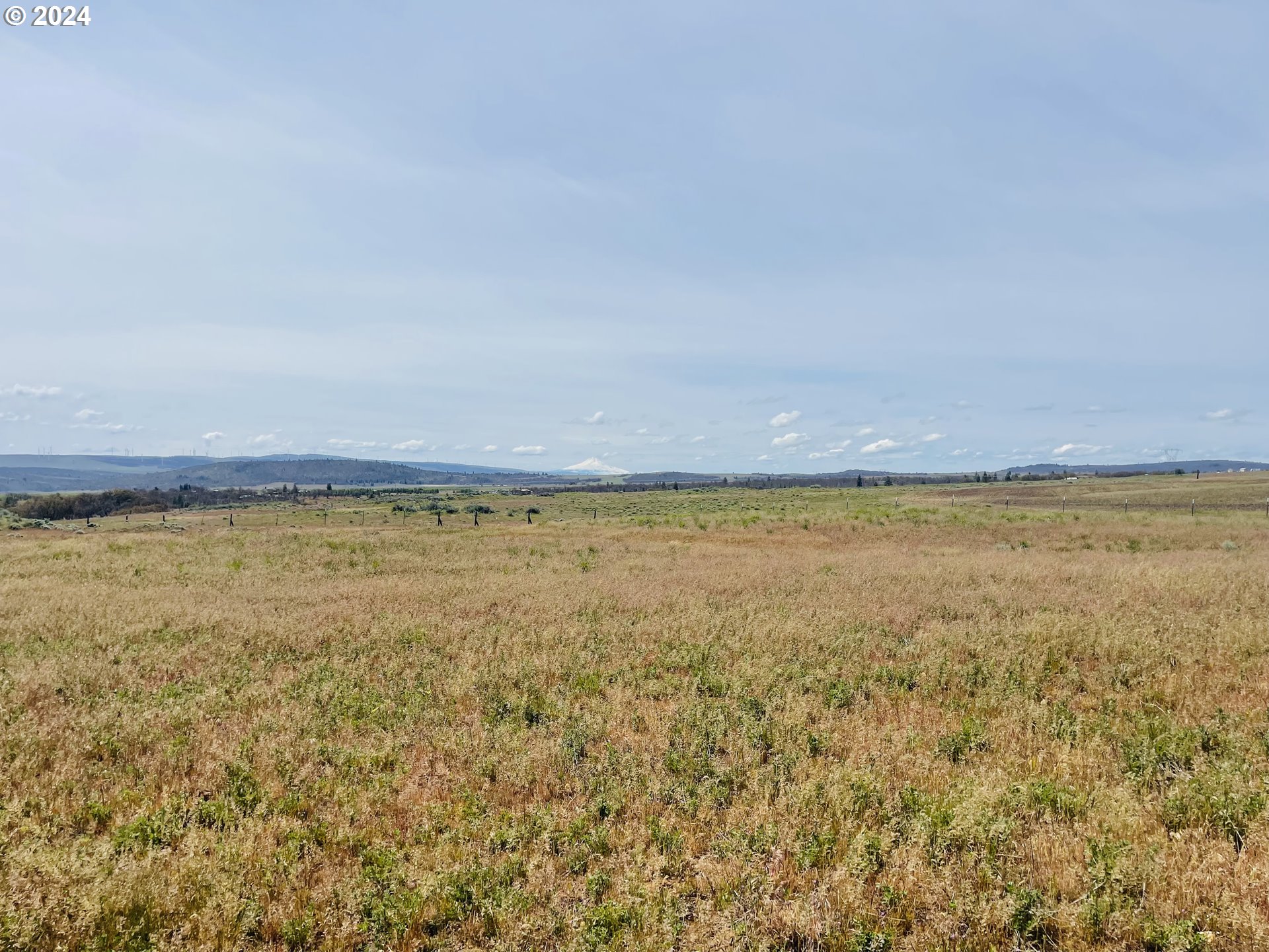 Holter Road Goldendale, WA 98620 - Photo 7 of 16 Gallery Image 7