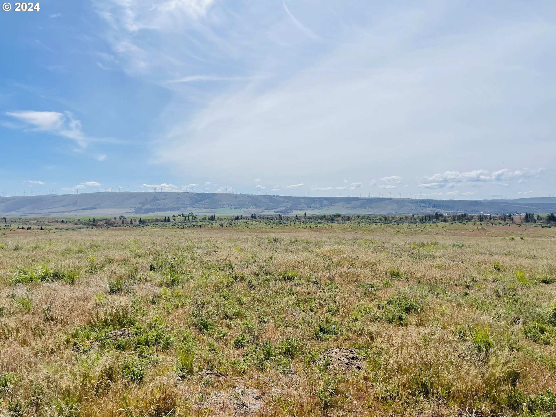 Holter Road Goldendale, WA 98620 - Photo 8 of 16 Gallery Image 8