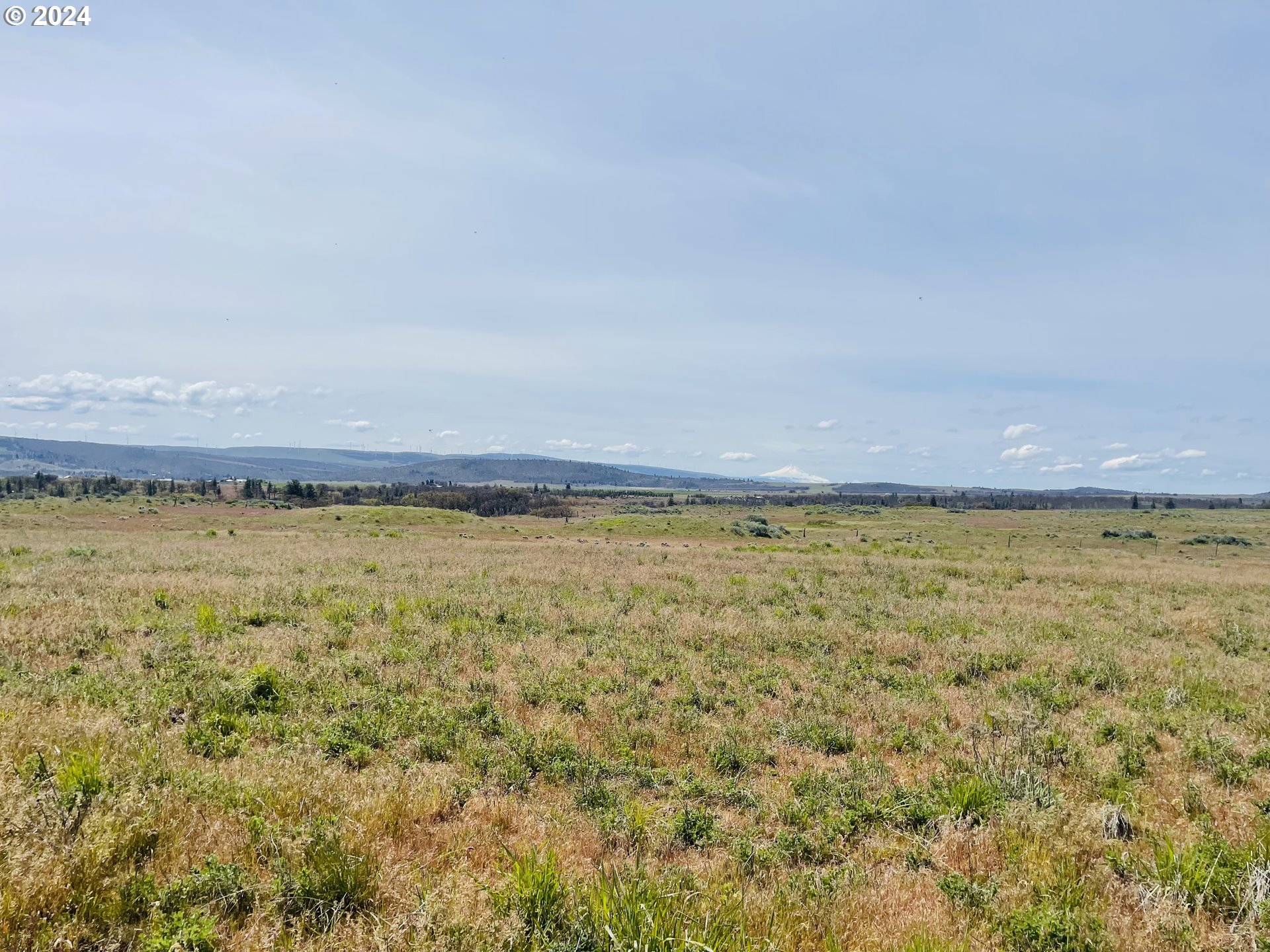 Holter Road Goldendale, WA 98620 - Photo 9 of 16 Gallery Image 9