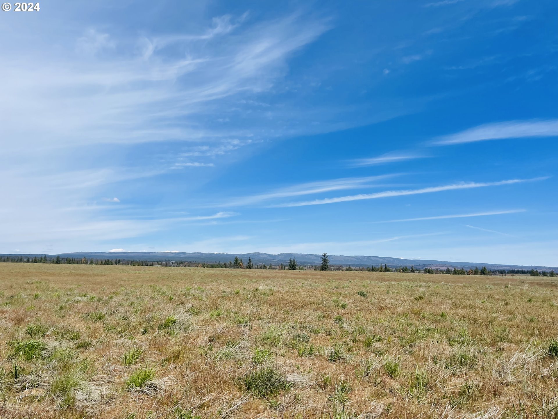 Holter Road Goldendale, WA 98620 - Photo 10 of 16 Gallery Image 10