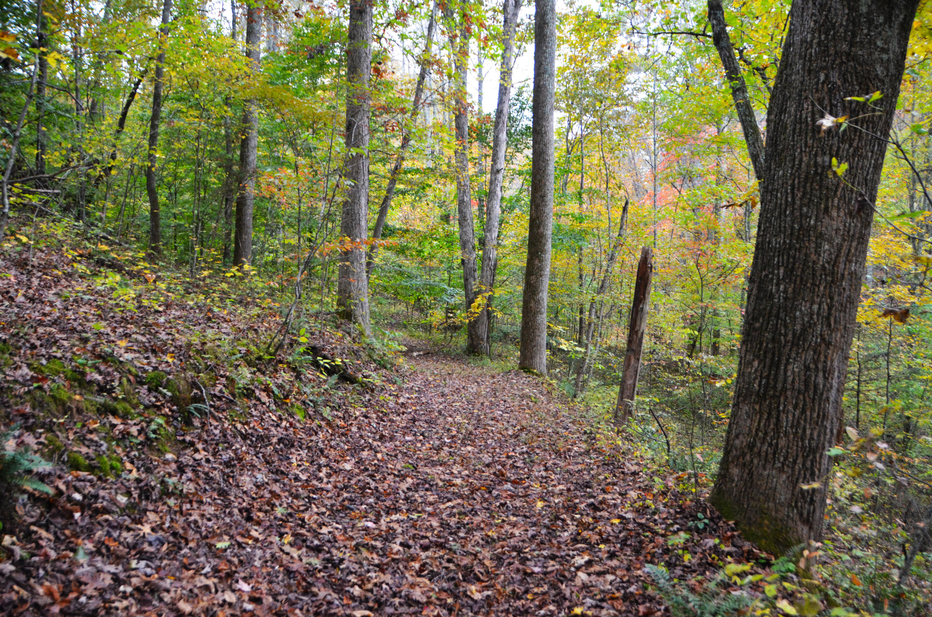 240 Iron Works Road Irvine, KY 40336 - Photo 57 of 68 Trails