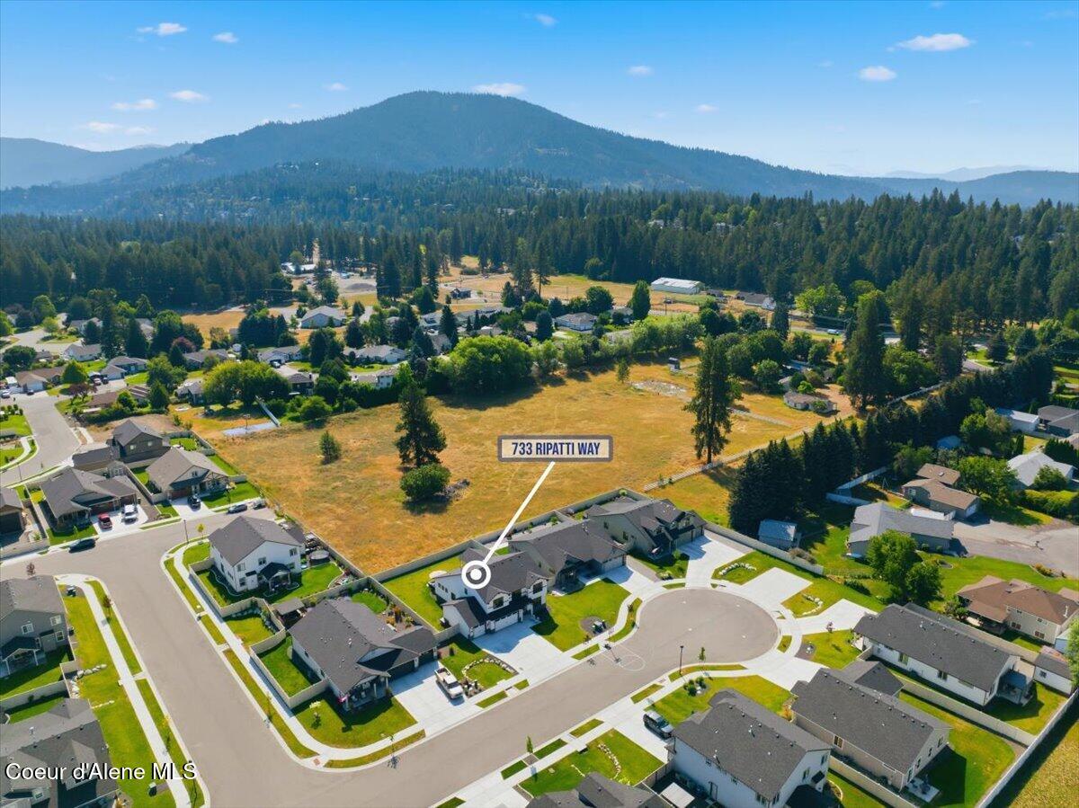 733 East Ripatti Way Hayden, ID 83835 - Photo 51 of 66 01-733 Ripatti Wy_RedHogMedia