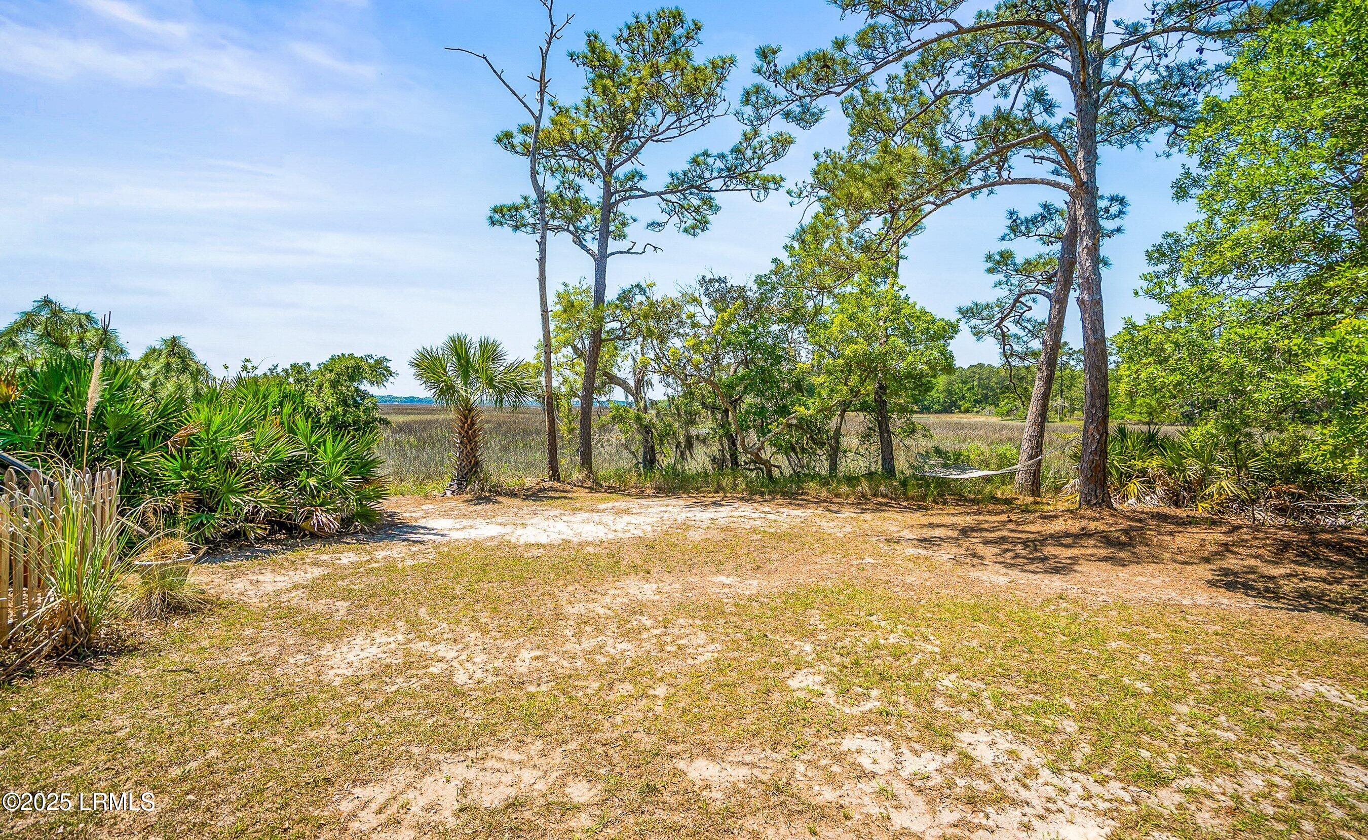 16 Cameroon Drive Beaufort, SC 29907 - Photo 48 of 60 DSC04364-210-1.jpg-FULL.JPG-SMALL