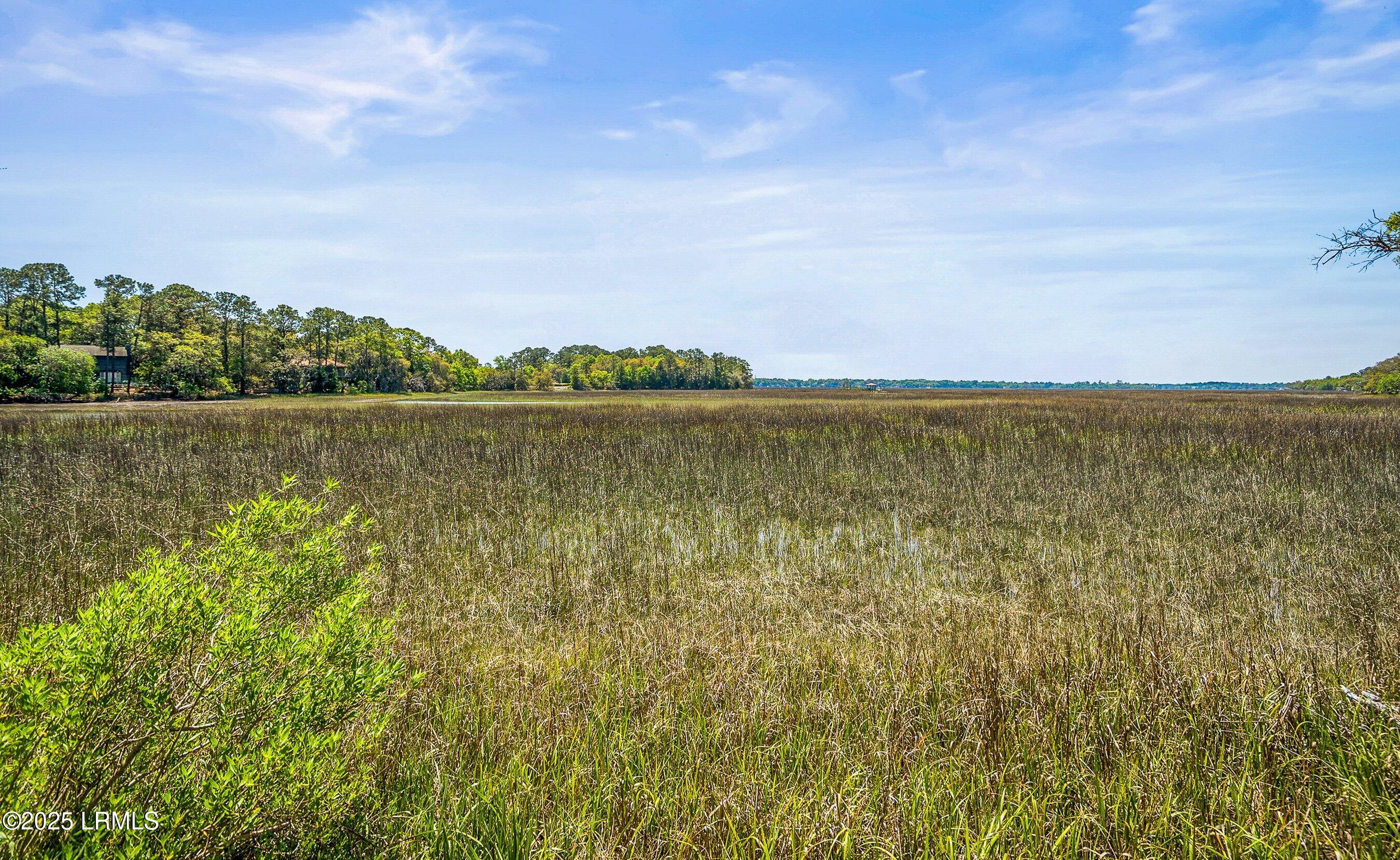 16 Cameroon Drive Beaufort, SC 29907 - Photo 49 of 60 DSC04369-215-1.jpg-FULL.JPG-SMALL