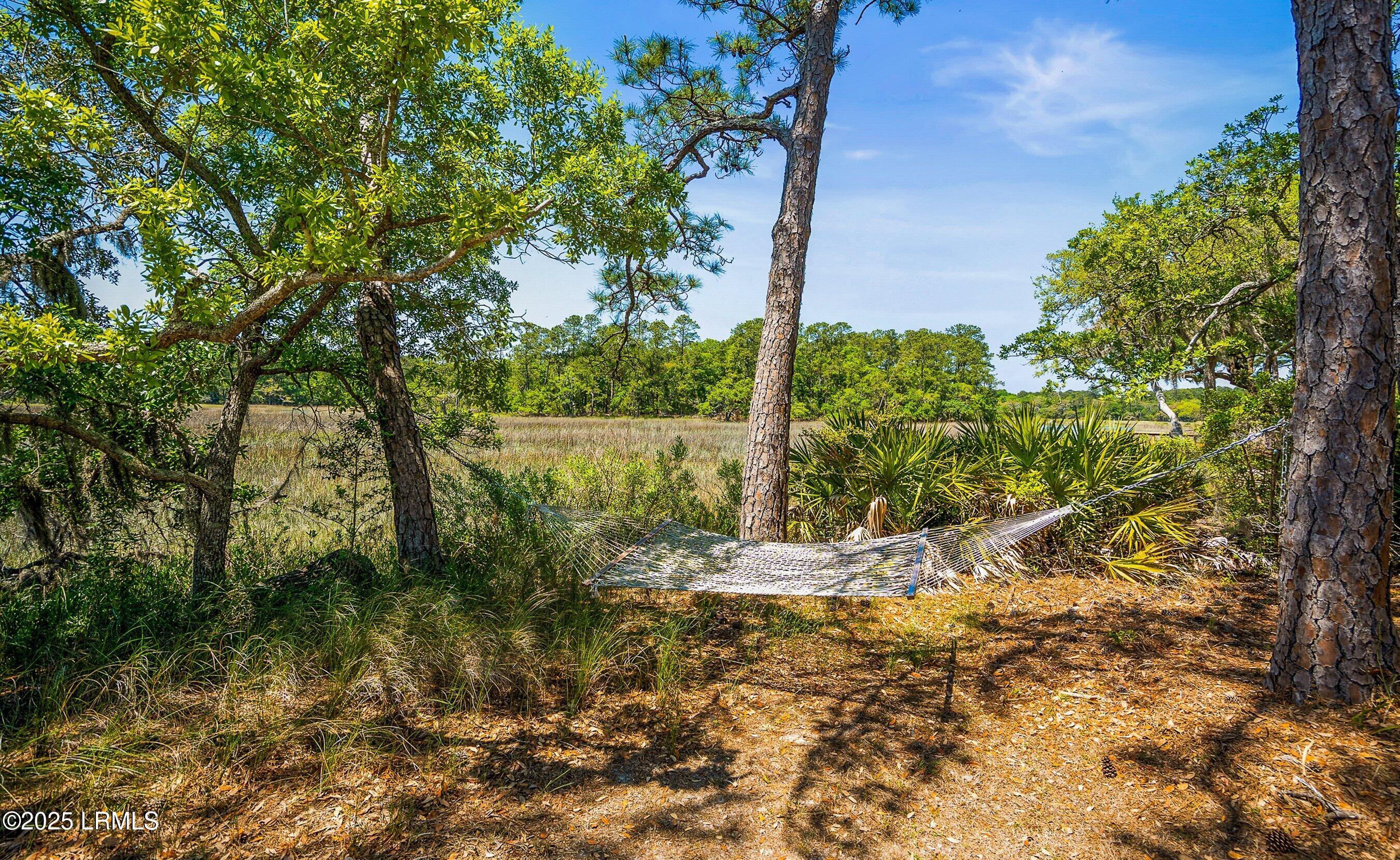 16 Cameroon Drive Beaufort, SC 29907 - Photo 50 of 60 DSC04374-220-1.jpg-FULL.JPG-SMALL