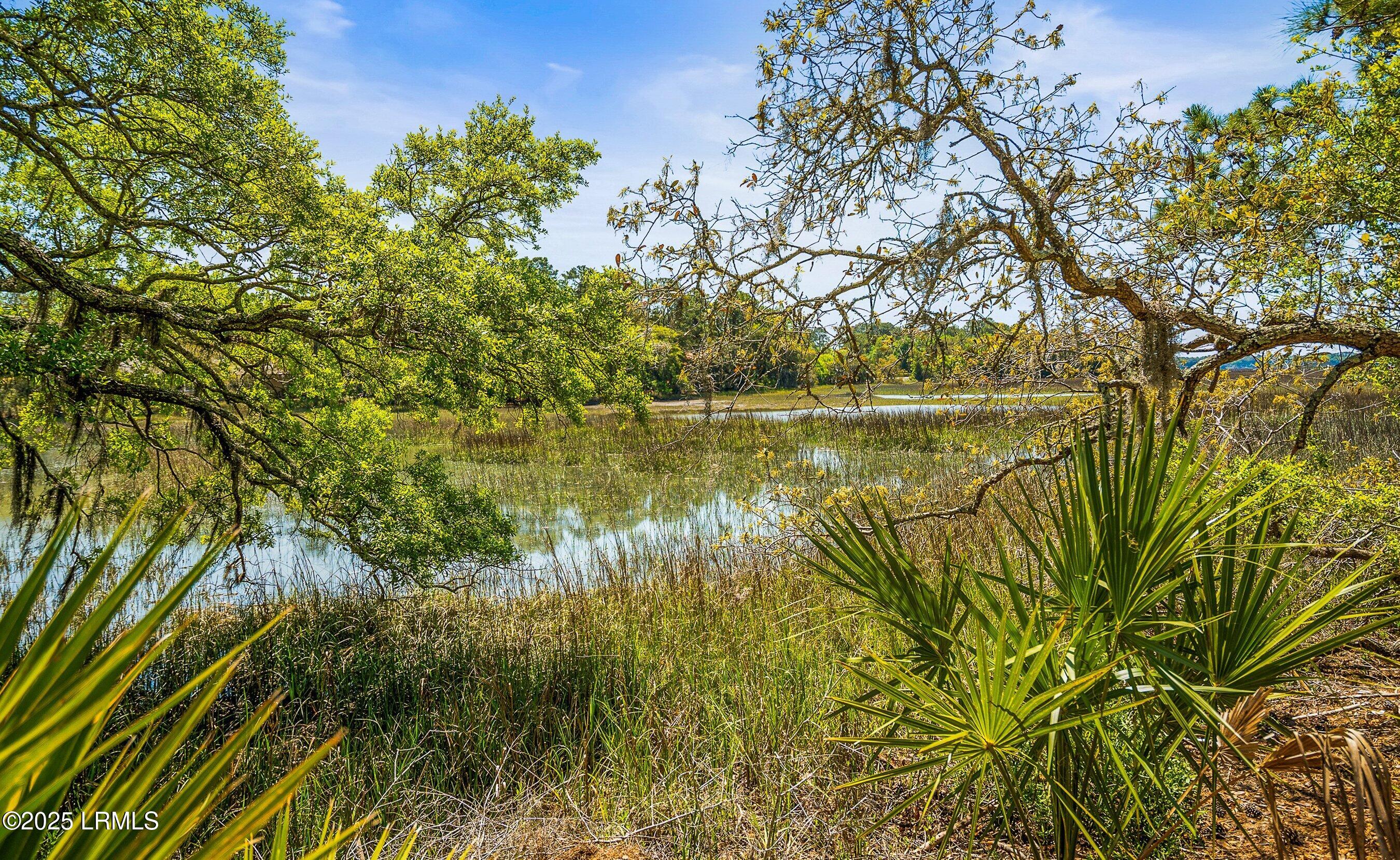 16 Cameroon Drive Beaufort, SC 29907 - Photo 57 of 60 DSC04409-255-1.jpg-FULL.JPG-SMALL
