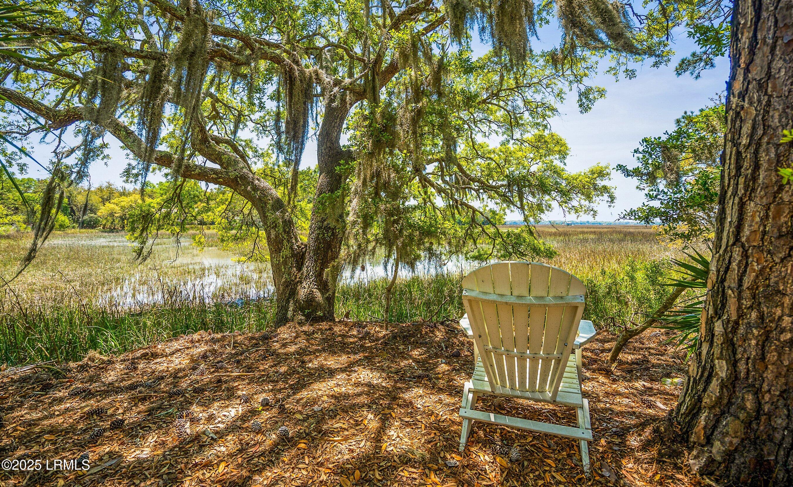 16 Cameroon Drive Beaufort, SC 29907 - Photo 60 of 60 DSC04424-270-1.jpg-FULL.JPG-SMALL