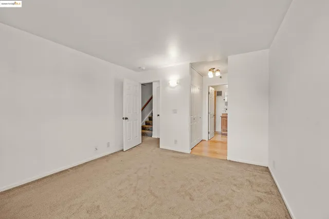 a view of a park with large trees