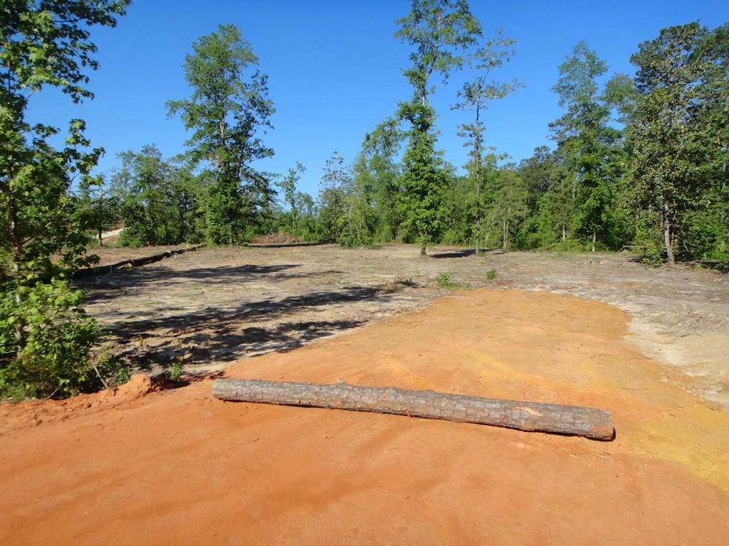 0 Otho Road Abbeville, AL 36310 - Photo 1 of 11