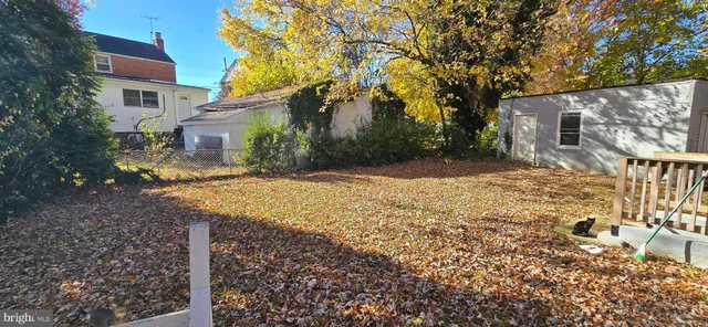 a view of a yard with plants and large trees