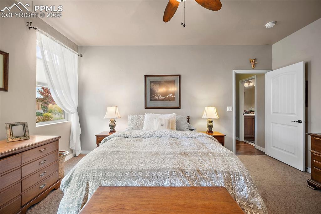 12988 Cupcake Heights Colorado Springs, CO 80921 - Photo 16 of 39 a bedroom with a bed a walk in closet and a large mirror