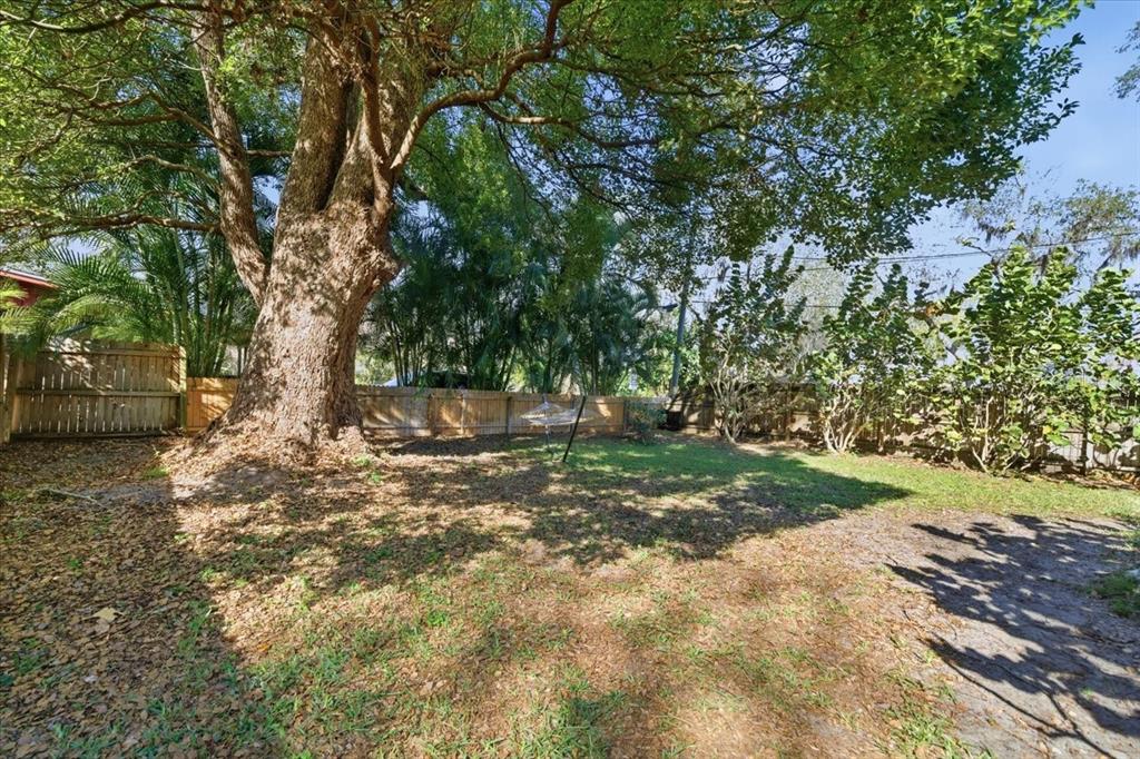 12330 North Rome Avenue Tampa, FL 33612 - Photo 31 of 33 a view of outdoor space and yard