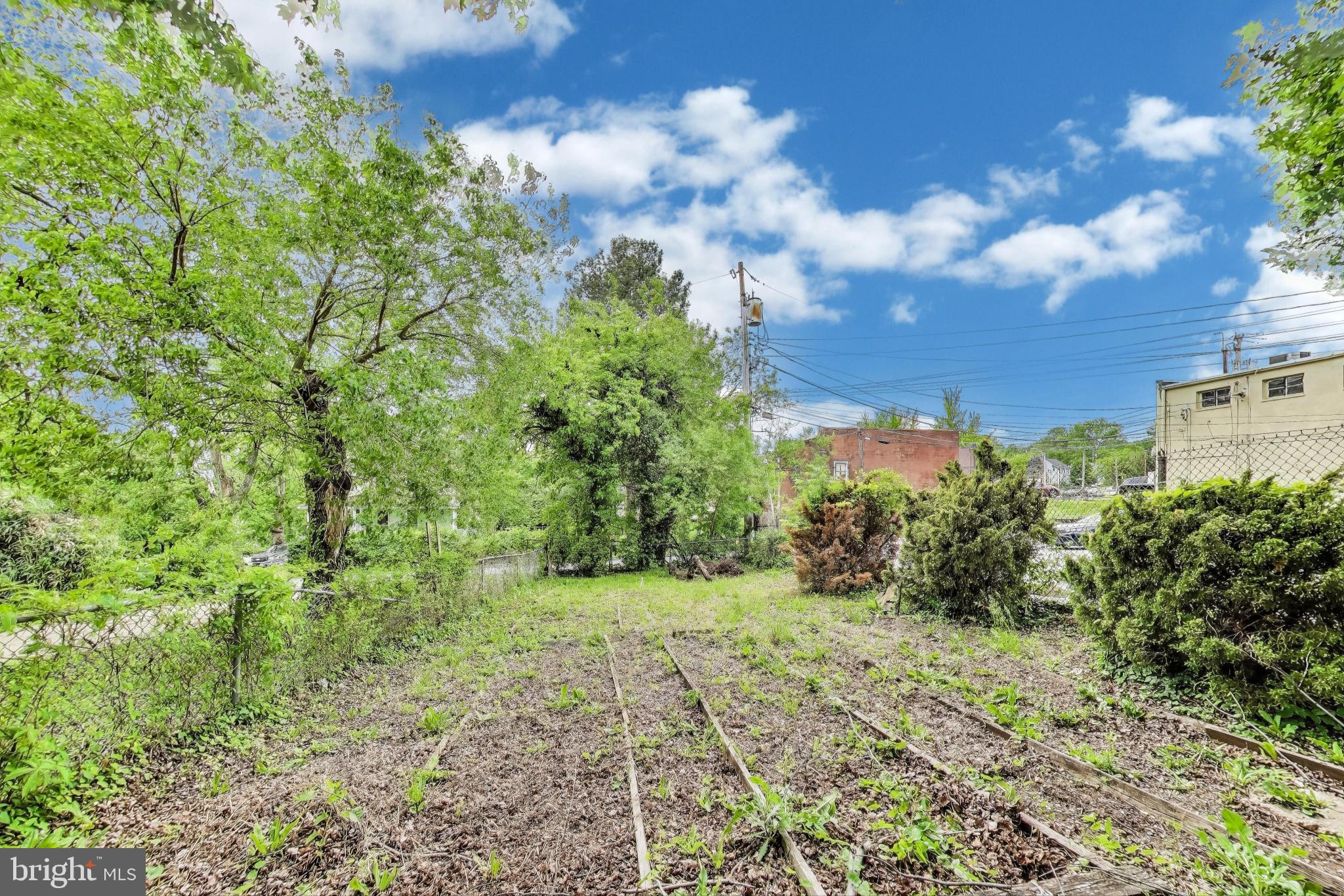 1 Maple Avenue Baltimore, MD 21206 - Photo 50 of 53 a view of a yard with plants and a trees