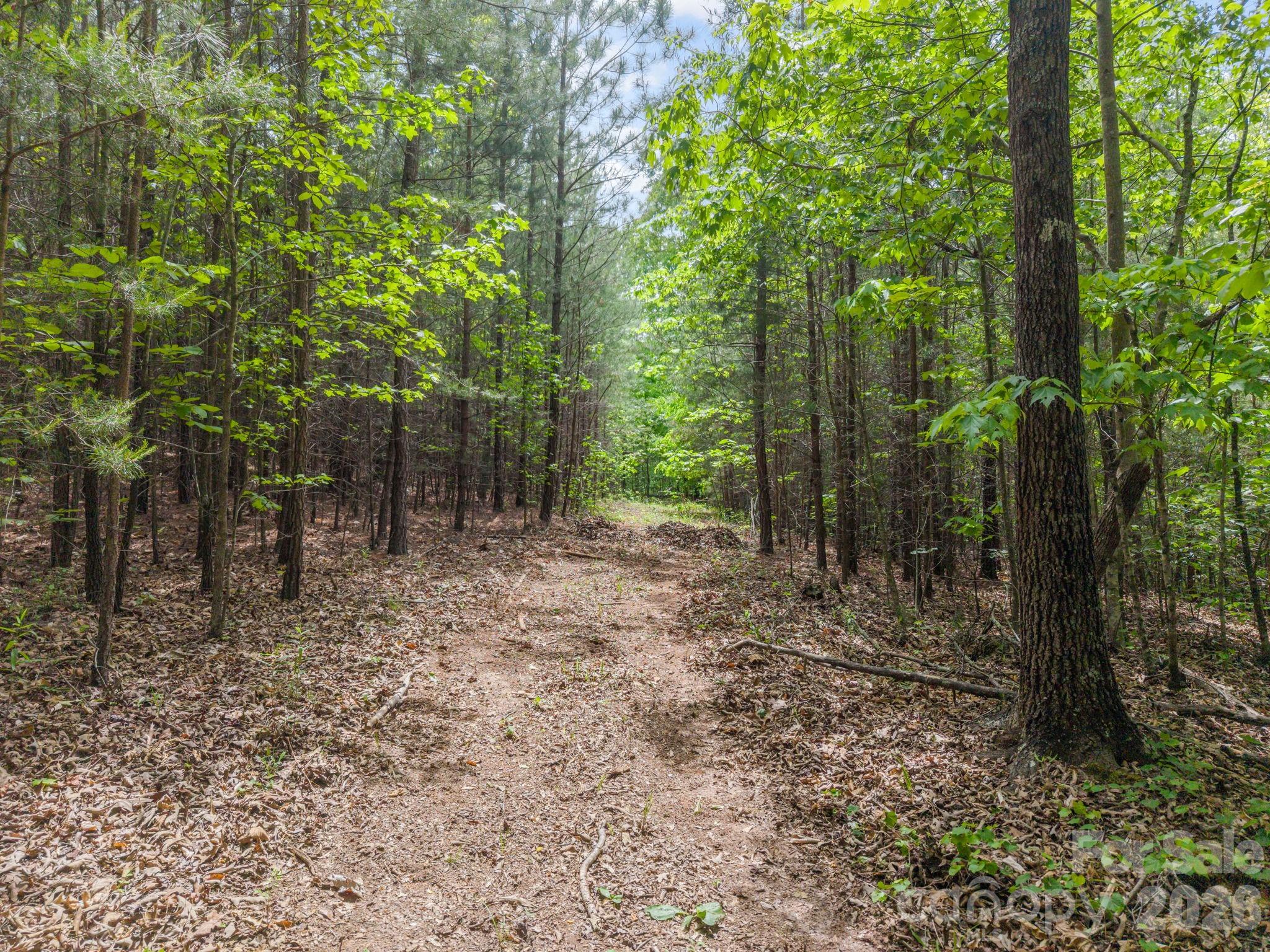 0 Romey Campbell Road Ellenboro, NC 28040 - Photo 9 of 41