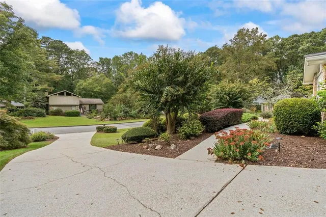 a view of a garden with potted plants