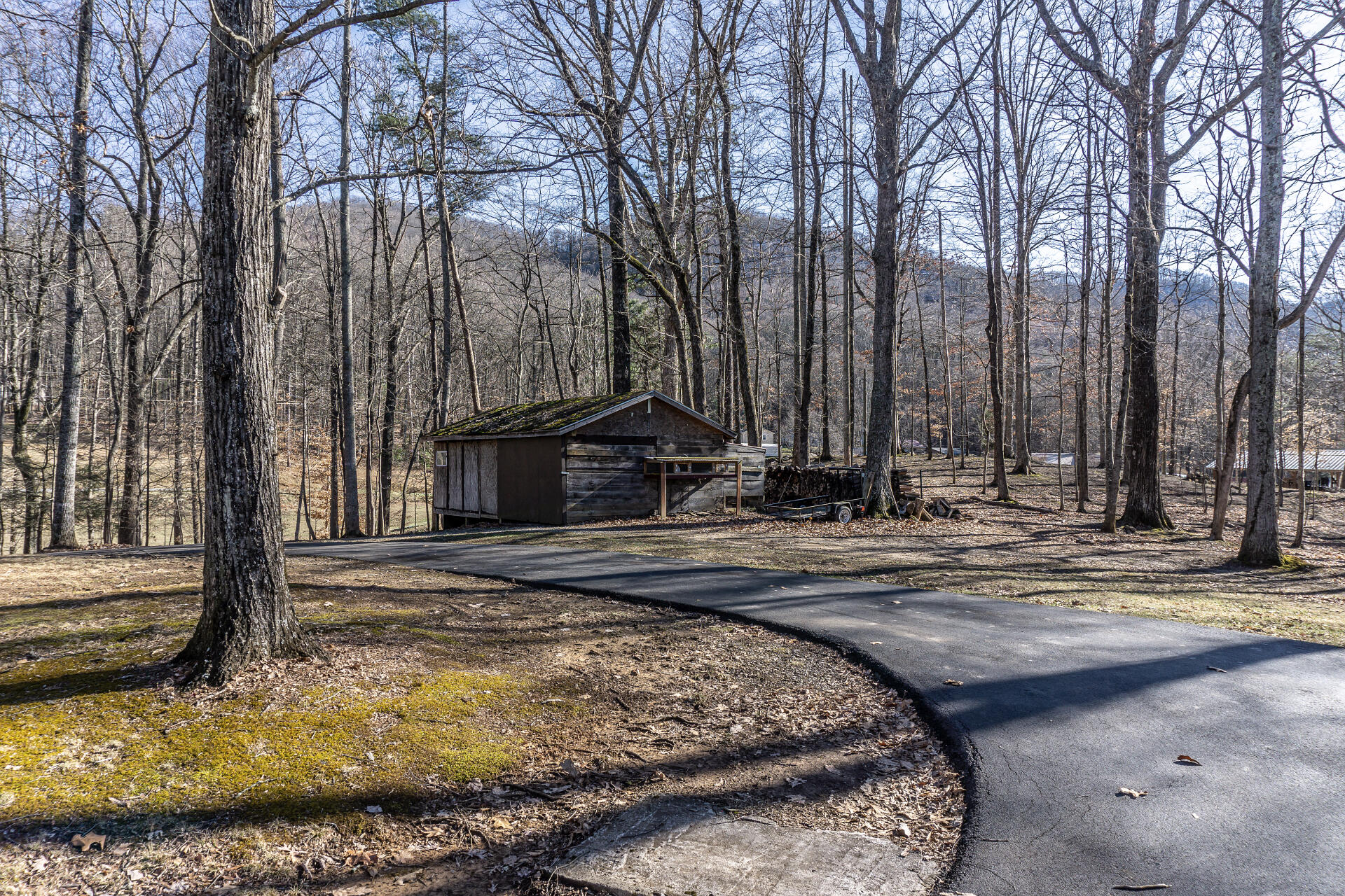 390 Spice Hollow Road Johnson City, TN 37604 - Photo 61 of 74 390SpiceHollowG_085 (1)