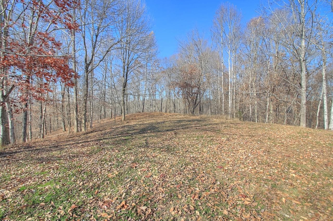 1123 Cherry Tree Ridge Road Burkesville, KY 42717 - Photo 19 of 20 Photo 19