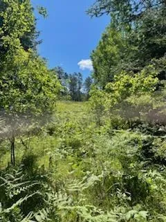 $49,900 | 51 U.S. Highway 51, Unit CA141 CA142, Harshaw, WI 54529