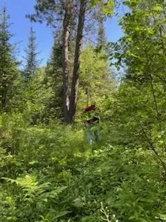 $49,900 | 51 U.S. Highway 51, Unit CA141 CA142, Harshaw, WI 54529