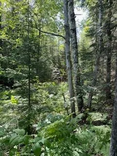 $49,900 | 51 U.S. Highway 51, Unit CA141 CA142, Harshaw, WI 54529