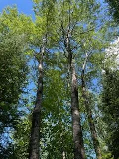 $49,900 | 51 U.S. Highway 51, Unit CA141 CA142, Harshaw, WI 54529