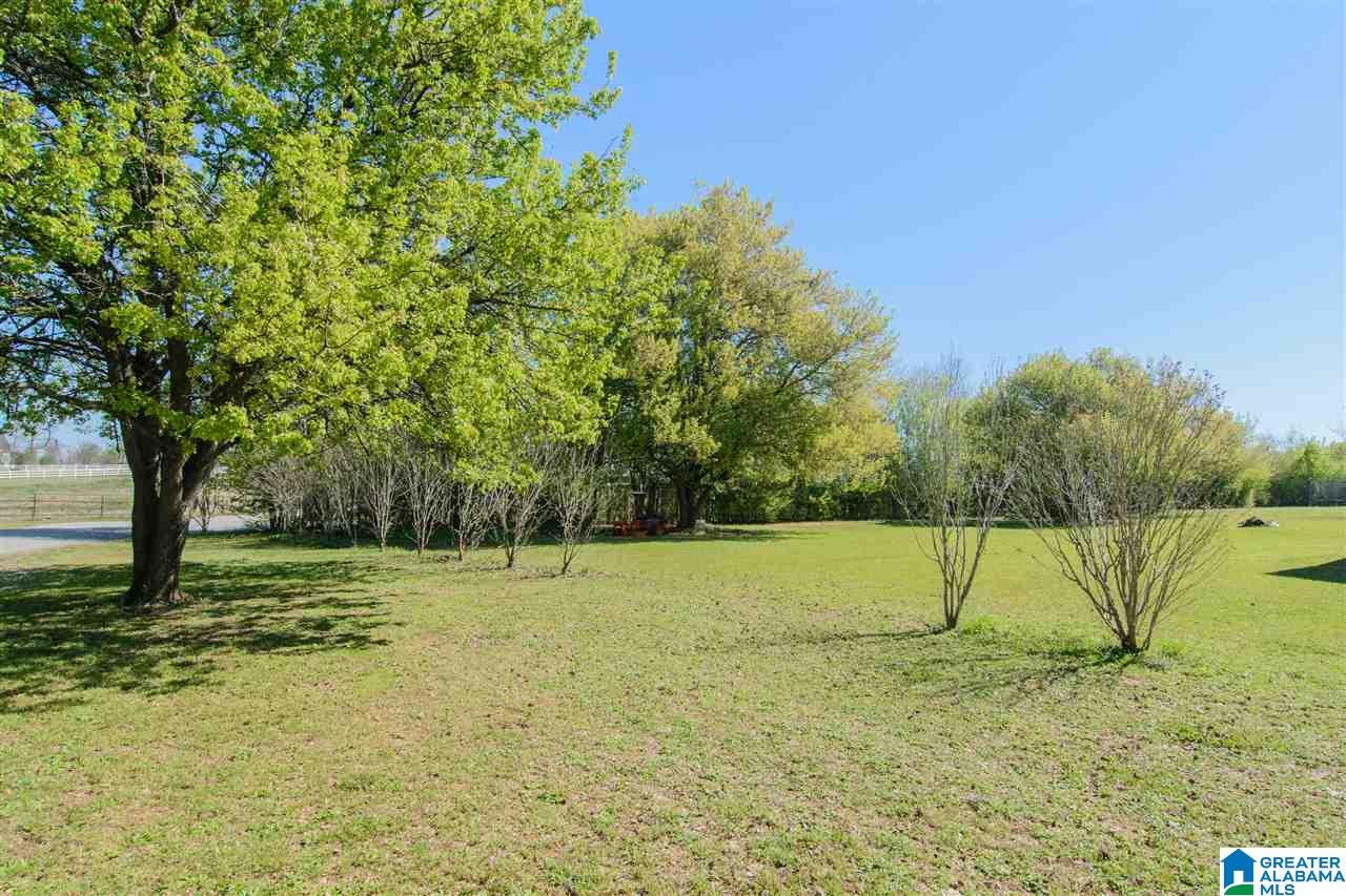 193 Old Lokey Ferry Road Wilsonville, AL 35186 - Photo 35 of 36