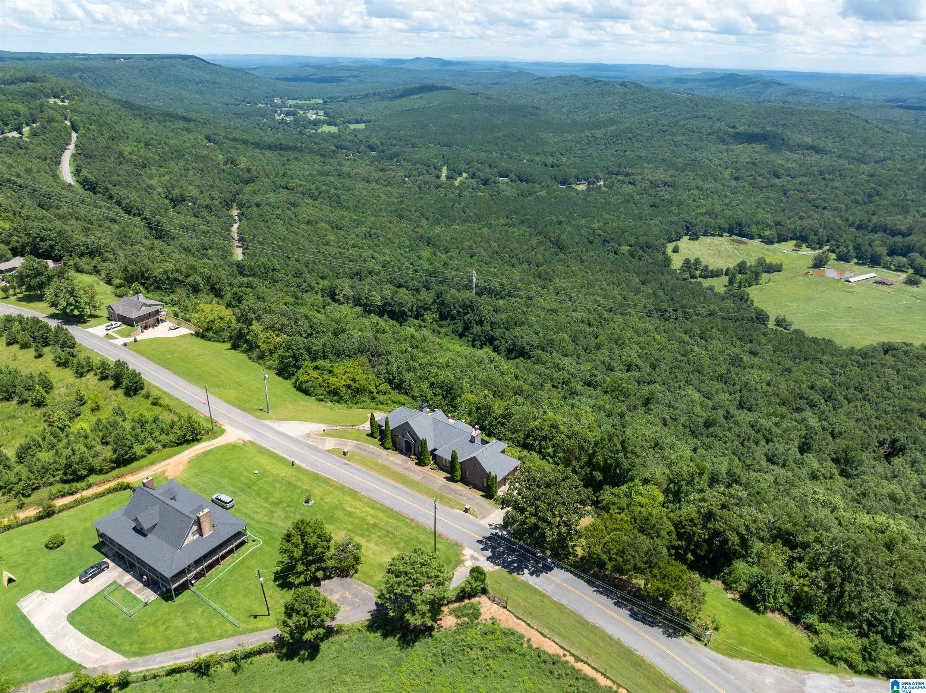 8378 Pine Mountain Road Springville, AL 35146 - Photo 55 of 59