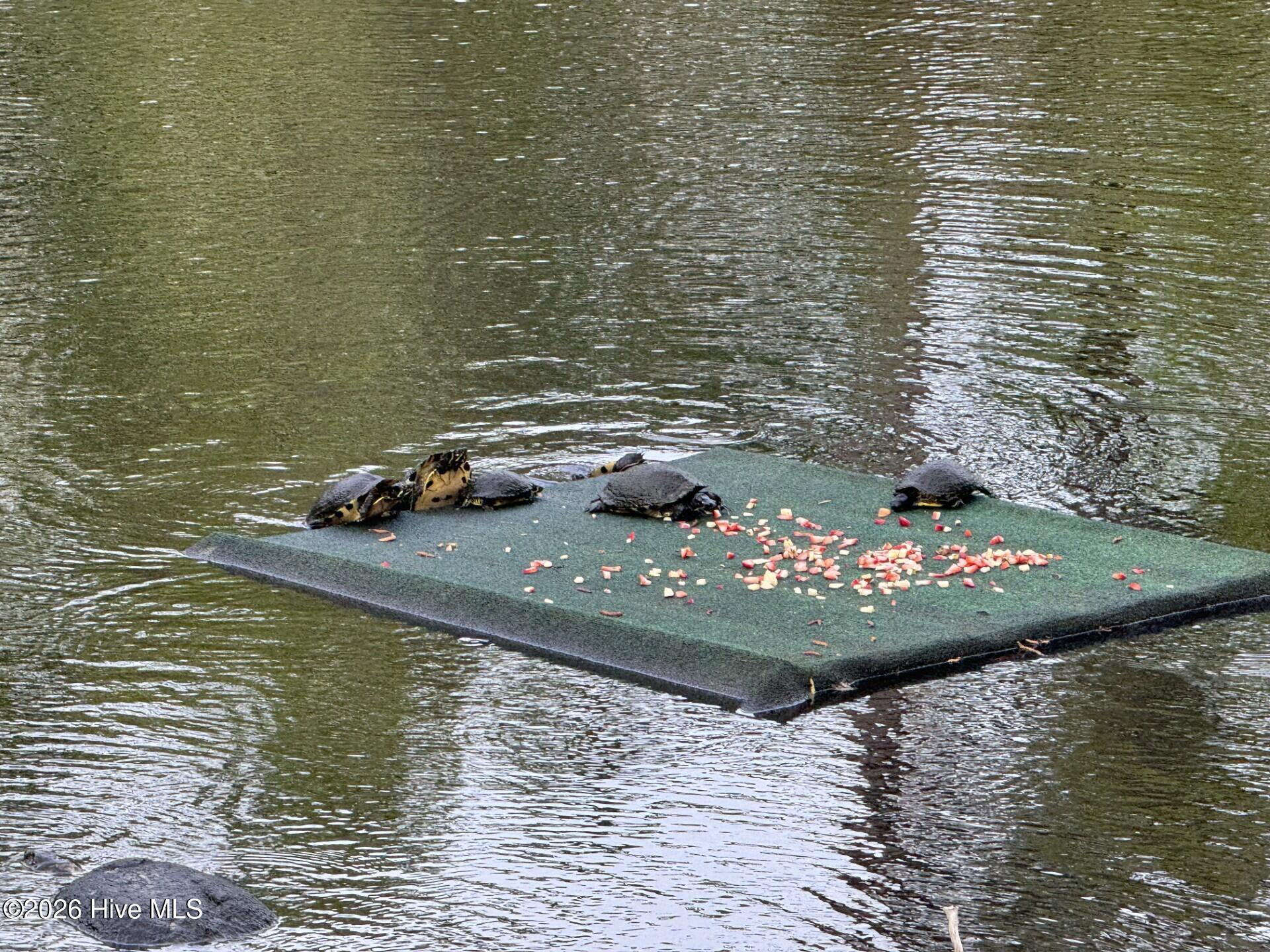 194 Hampton Court Hampstead, NC 28443 - Photo 47 of 71 45a