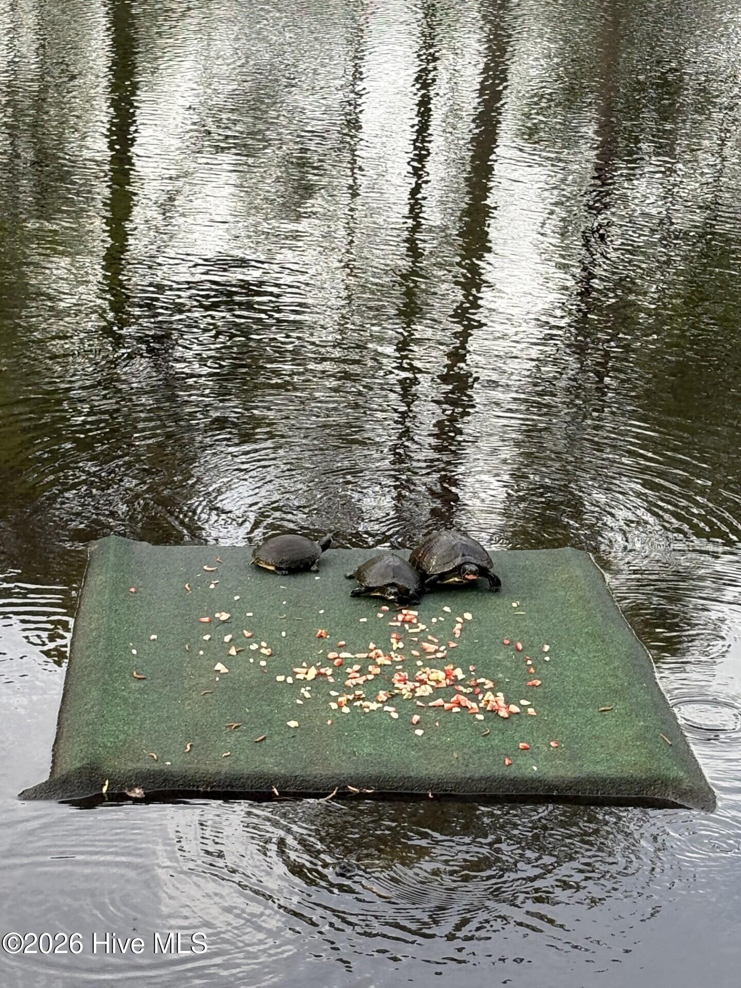 194 Hampton Court Hampstead, NC 28443 - Photo 48 of 71 45b